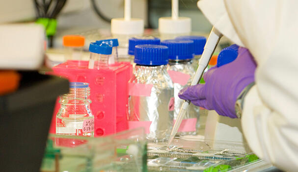 A researcher pipetting samples