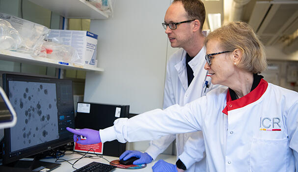 Two researchers looking at a screen
