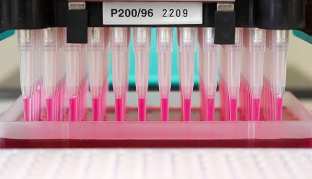 a pipette and pink samples