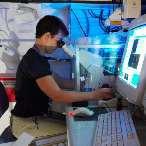 Researcher using microscope