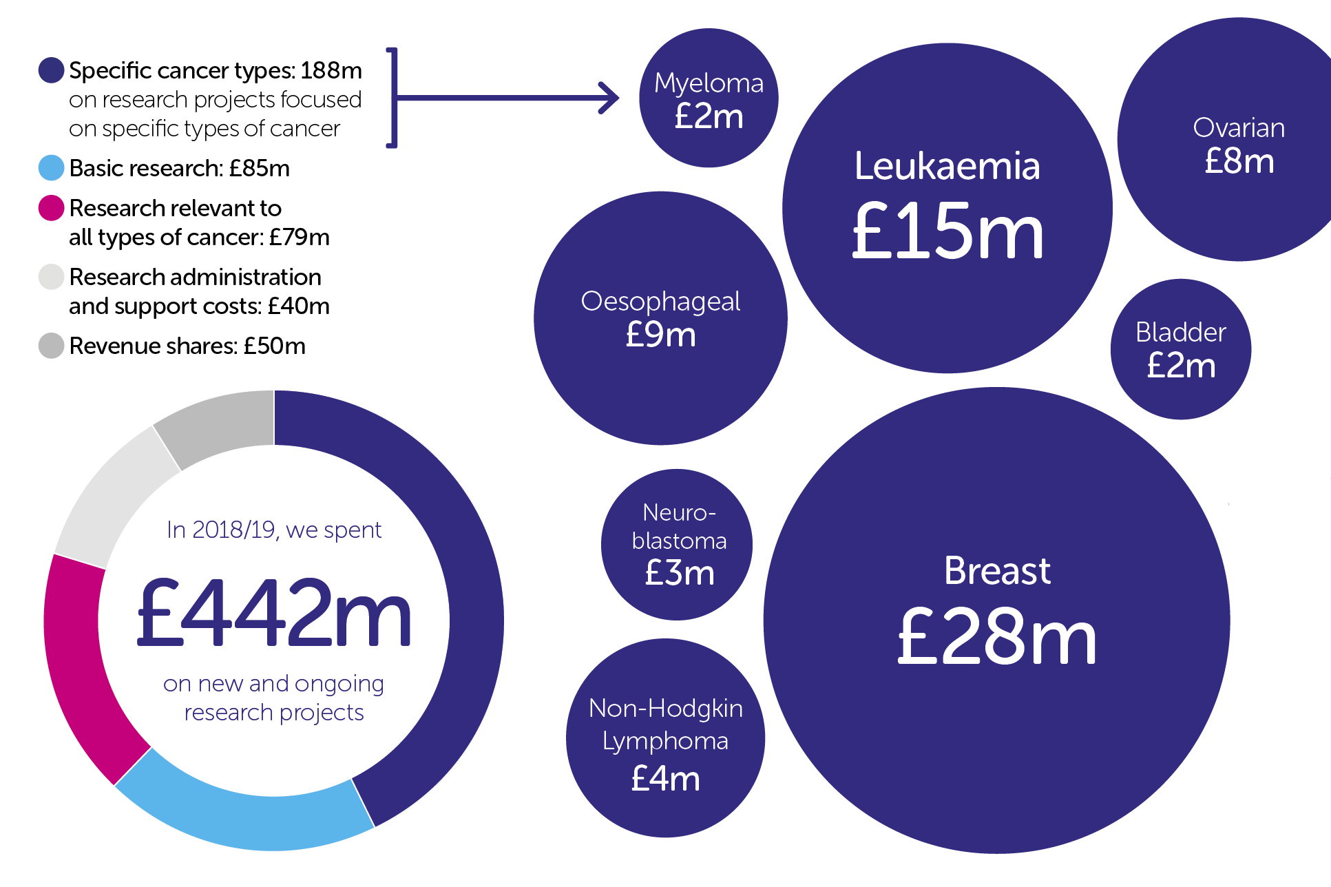 Our Year 2018 19 Cancer Research Uk