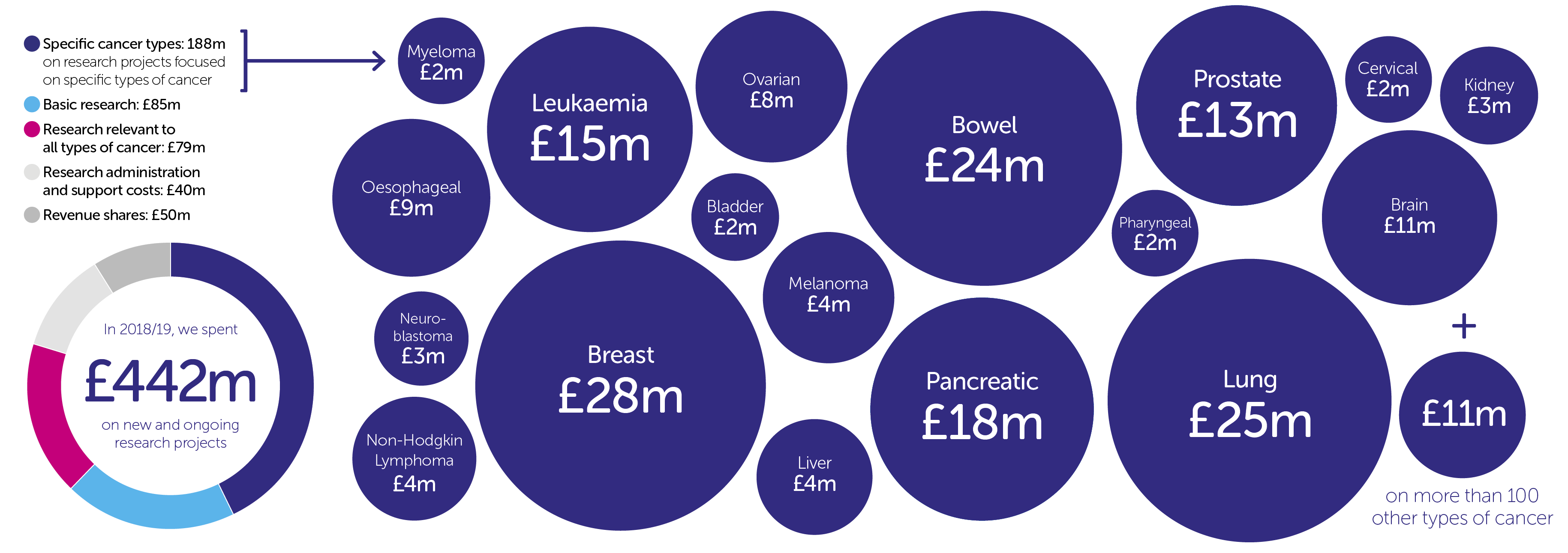 Infographic for research activity online