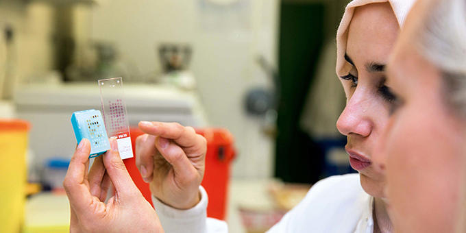 Scientists working in lab