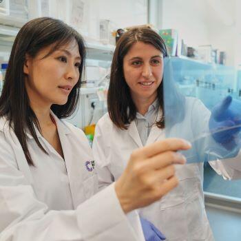 research in a lab pipetting