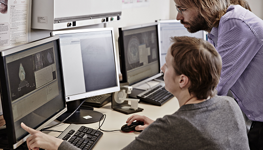 Researchers analyse results on a computer