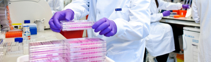 Researcher in lab