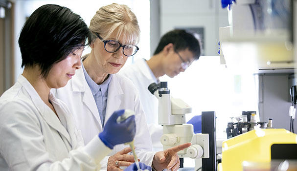 Photo of researchers working in a lab