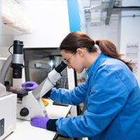scientist using microscope