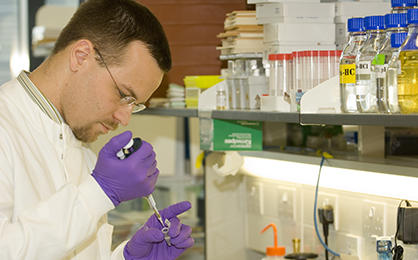 Scientist working