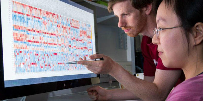 Scientists analysing computer data