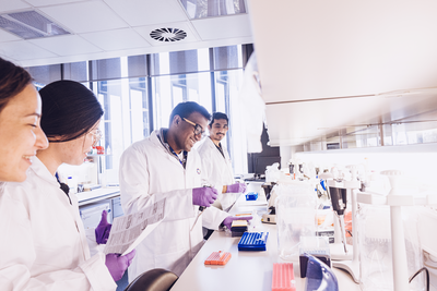 Researchers working at the lab