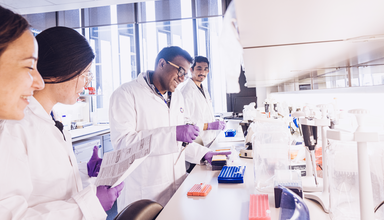 researchers in the lab