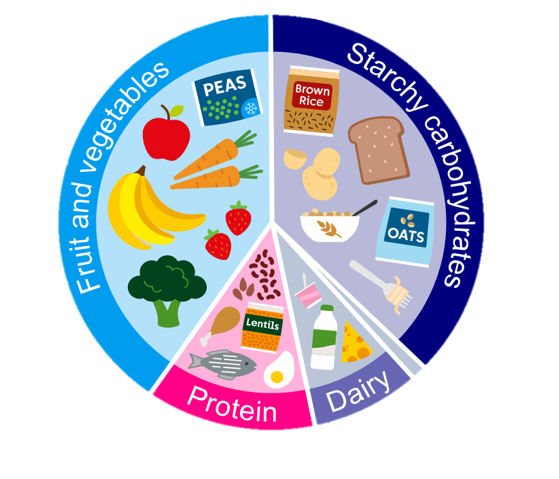  An illustration of a healthy plate