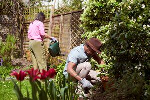 two people doing light gardening