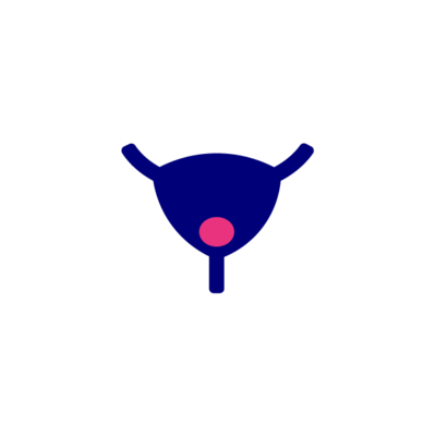 Icon prostate