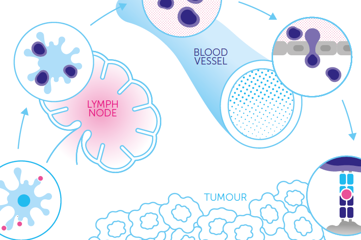 Biotherapeutics diagram (Pioneering Research 2015/16) Biotherapeutics diagram (Pioneering Research 2015/16)