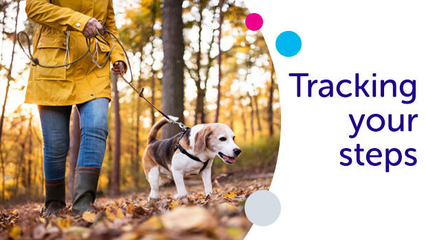 Track your steps with FitBit Lady walking in woods with small dog.