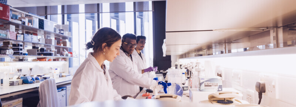 Researchers working in lab