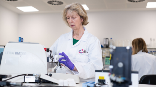 Researcher working in the lab Researcher working in the lab
