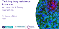 tackling drug resistance in cancer: an interdisciplinary workshop tackling drug resistance in cancer: an interdisciplinary workshop