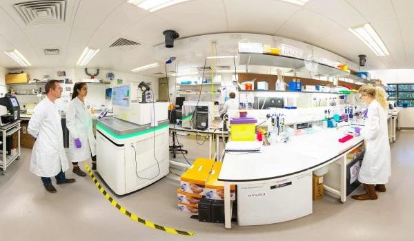 Cambridge Institute