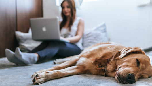 woman taking survey on bed with dog