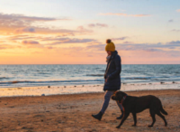 Woman walking a dog on the beach