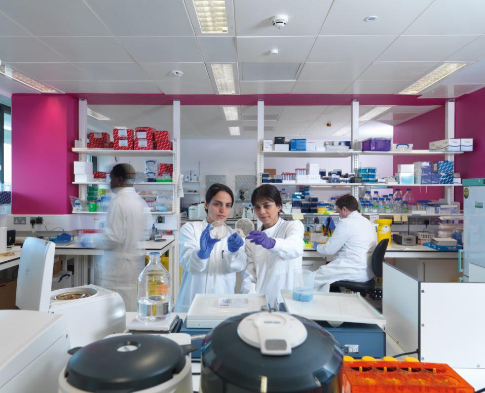 Women scientists in a lab looking at a Petri dish