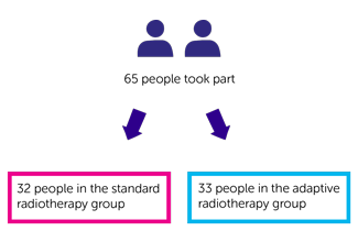HYBRID randomisation diagram