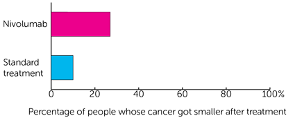 study diagram