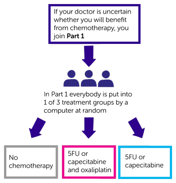 BALLAD Trial Diagram