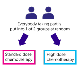 TIGER trial randomisation diagram