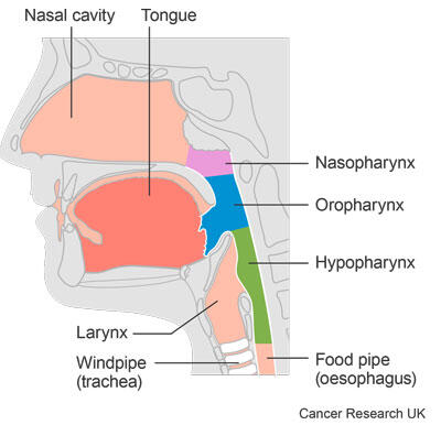 DARS - Diagram 