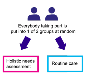 Study diagram