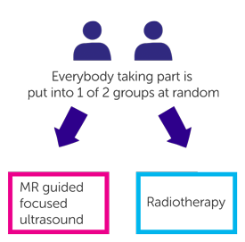 Trial diagram
