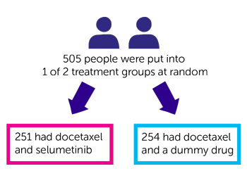 SELECT-1 Diagram