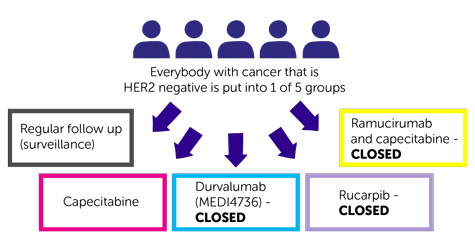 PLATFORM trial randomisation diagram