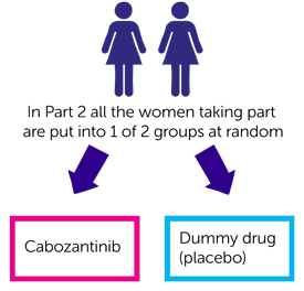 HGUS study diagram