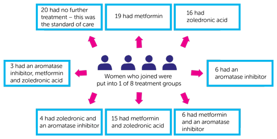IBIS3 Trial Diagram