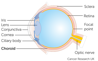 SelPac Trial Diagram