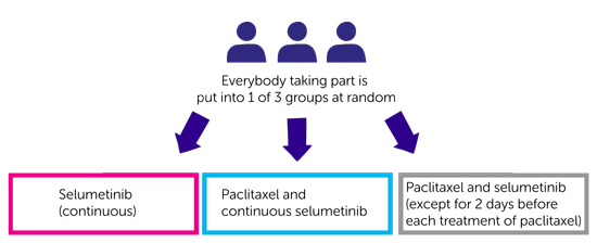 SelPac Trial Diagram