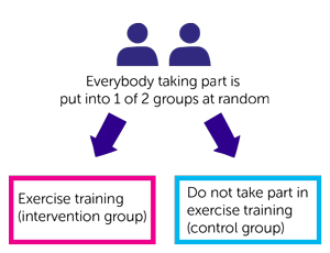 EMBRACE study diagram