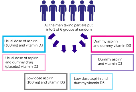 study diagram