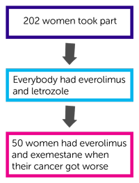 BOLERO 4 Diagram 