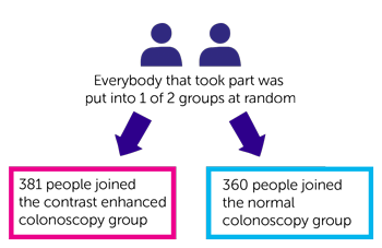 Study diagram