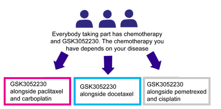 trial diagram 