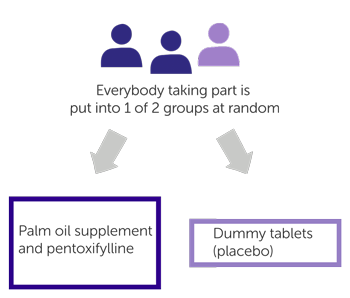PPALM trial diagram
