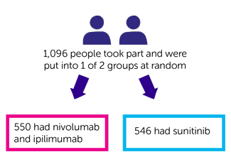 CheckMate 241 Diagram 
