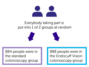 Adeoma study randomisation diagram