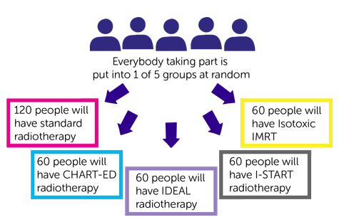 study diagram study diagram